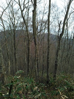 c0359615_22072460.jpg