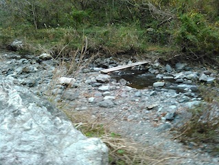 c0359615_22072822.jpg