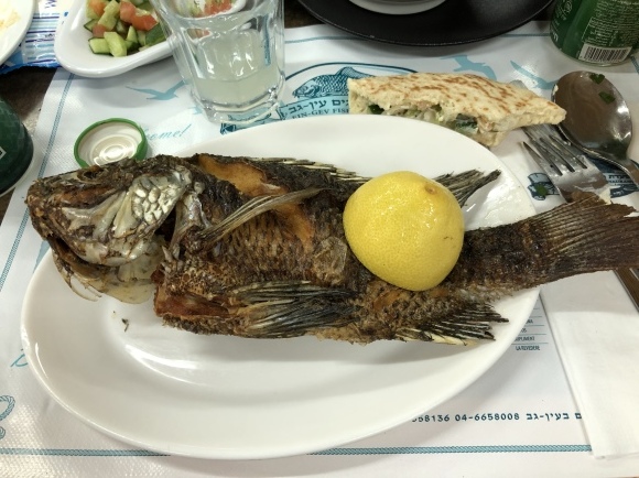 b0164428_20272041.jpeg