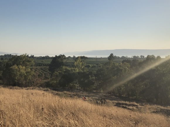 b0164428_20412411.jpeg