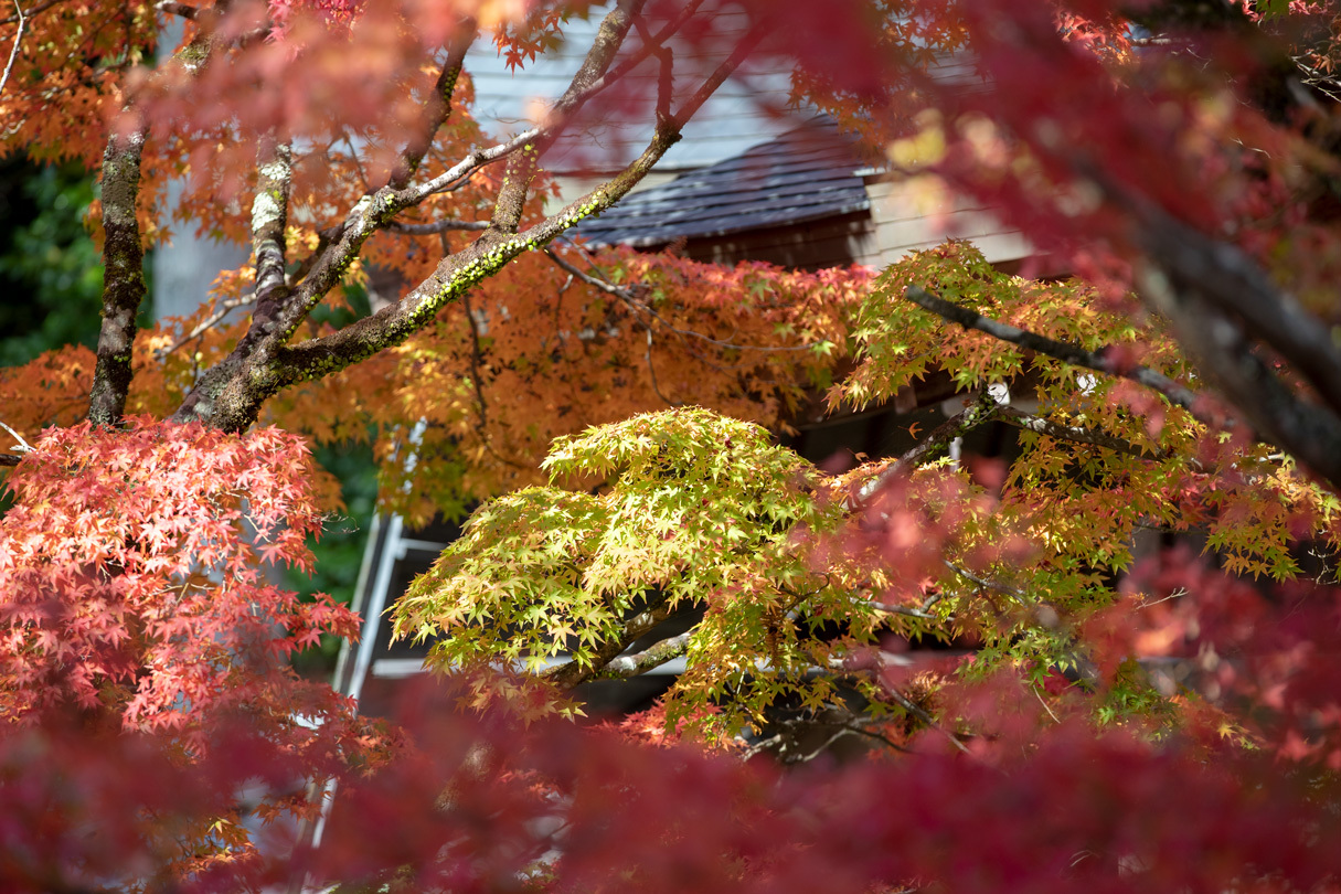 日本の美求めて_f0033831_04562910.jpg