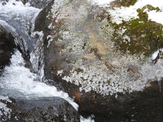 f0118332_00451670.jpg