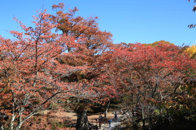 f0229832_08580207.jpg