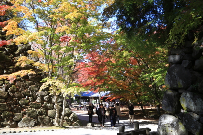 f0229832_09034626.jpg