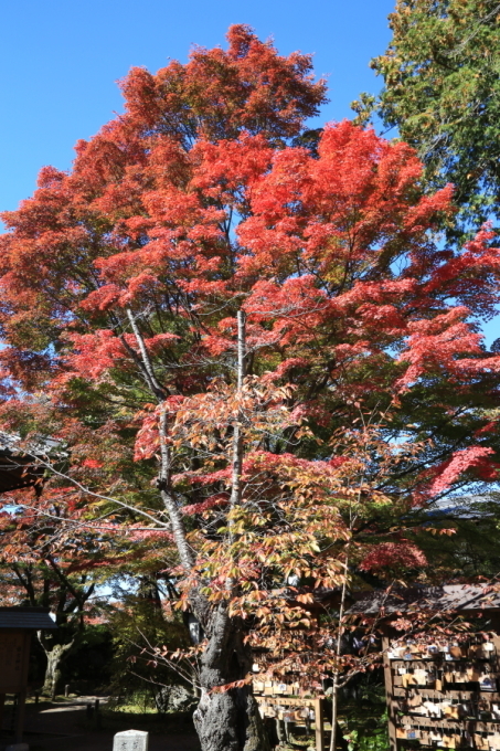 f0229832_09044725.jpg