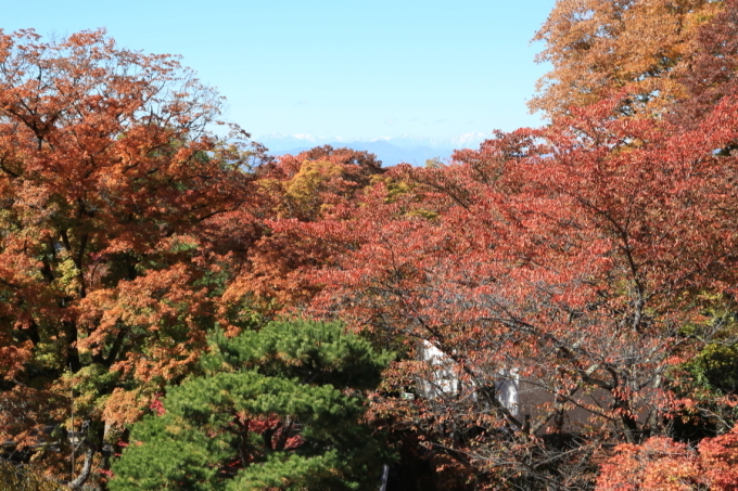 f0229832_09051473.jpg