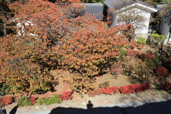 f0229832_09054357.jpg