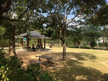 f0371533_11173349.jpg
