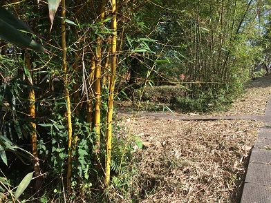 f0371533_11193384.jpg