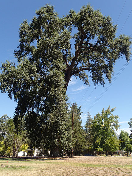 c0177135_10371691.jpg