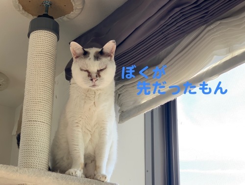c0342535_13481271.jpeg