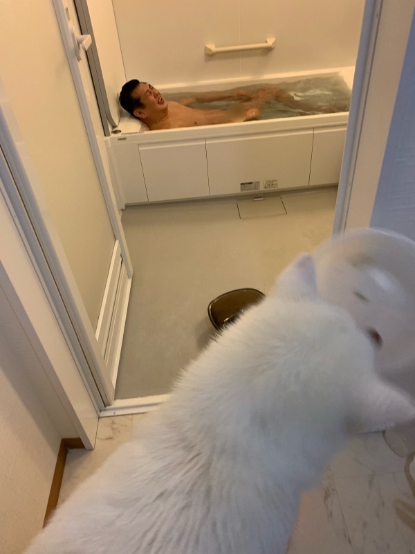 e0364035_00583265.jpeg