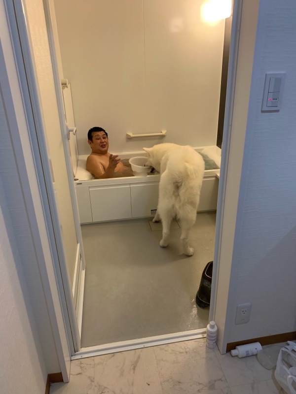 e0364035_01085389.jpeg