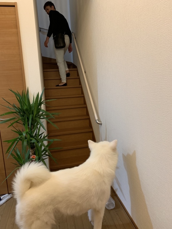 e0364035_02303318.jpeg