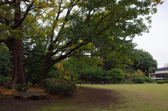 a0287336_23144777.jpg