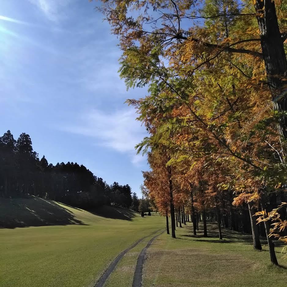 ゴルフ 青空 紅葉 幸せ_c0117936_06334050.jpg