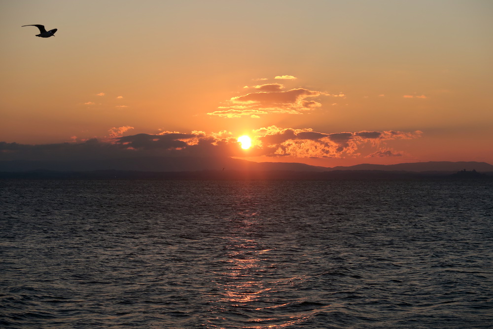 アオサギ飛びゆく夕日の湖、トラジメーノ湖_f0234936_60174.jpg