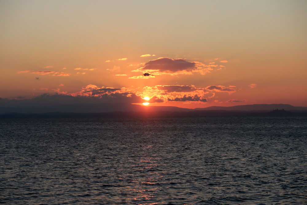アオサギ飛びゆく夕日の湖、トラジメーノ湖_f0234936_6102655.jpg