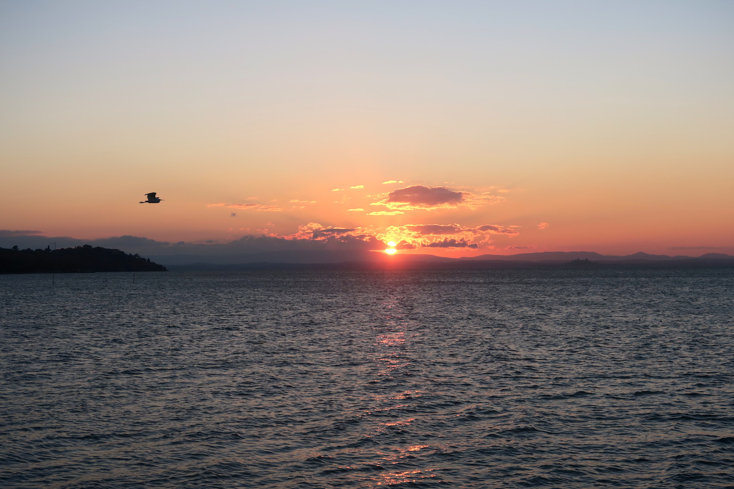 アオサギ飛びゆく夕日の湖、トラジメーノ湖_f0234936_622243.jpg