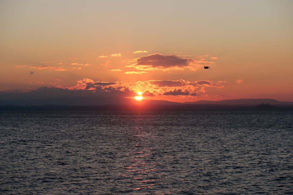 アオサギ飛びゆく夕日の湖、トラジメーノ湖_f0234936_628548.jpg