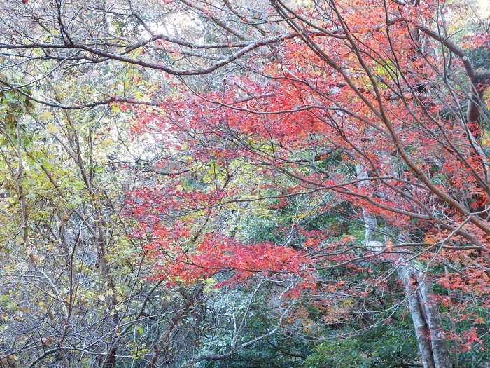c0281841_16080894.jpg