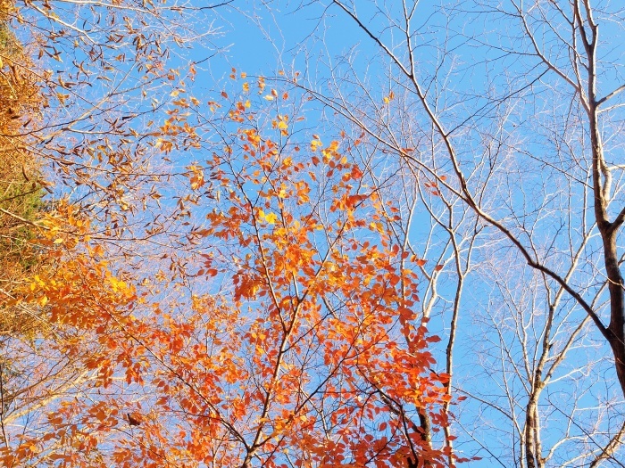 c0281841_16081296.jpg