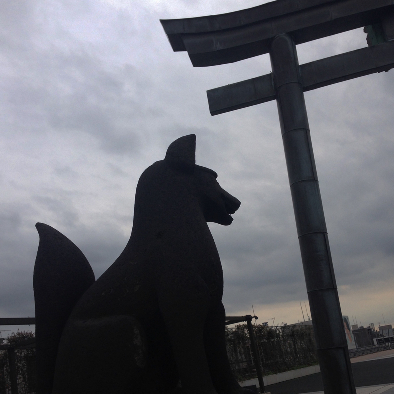 撮るのが楽しいから撮る_c0060143_08373614.jpg