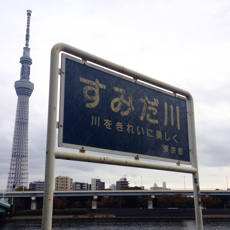 撮るのが楽しいから撮る_c0060143_08373799.jpg