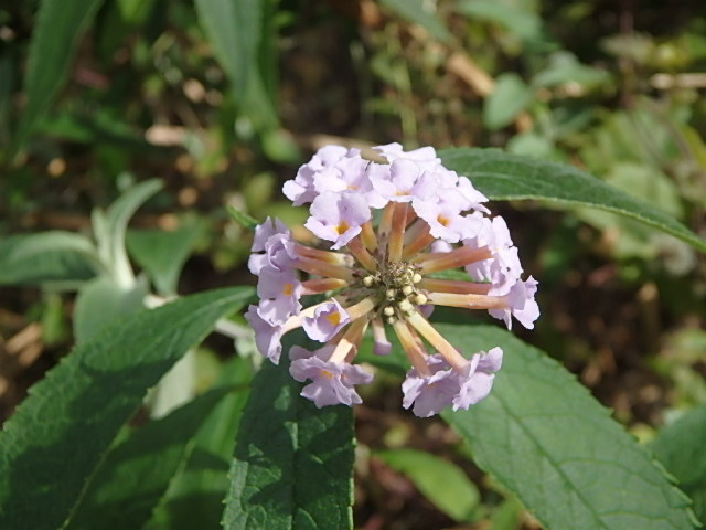 f0334143_9101587.jpg