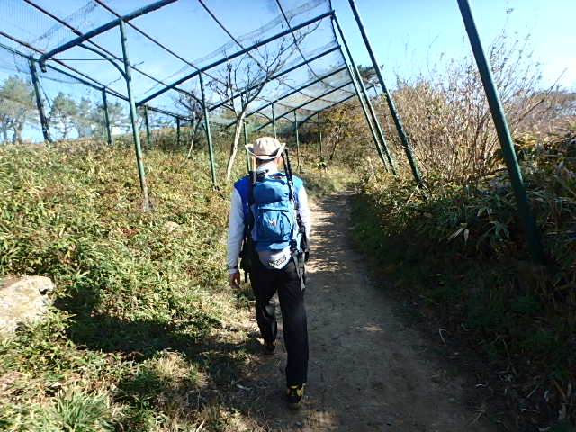 f0334143_921456.jpg