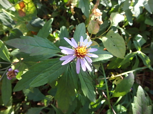 f0334143_922463.jpg