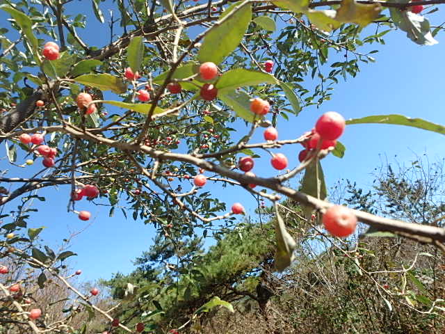 f0334143_932328.jpg