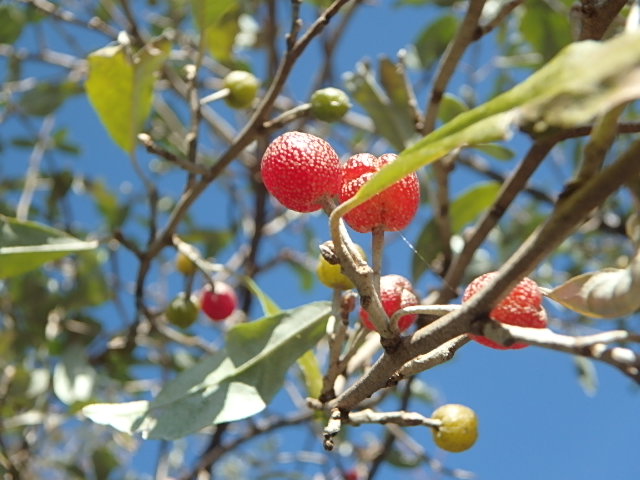f0334143_932916.jpg