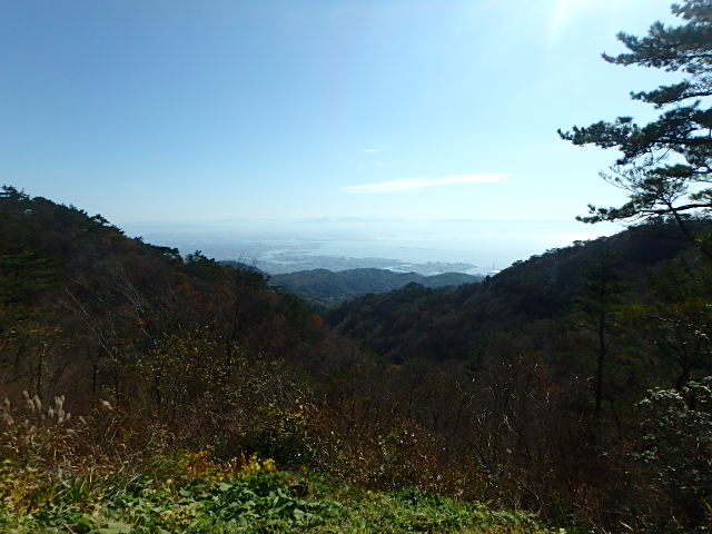 f0334143_942868.jpg
