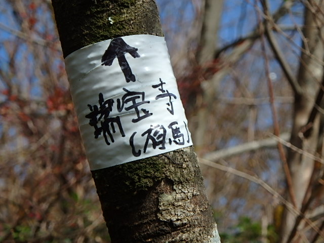f0334143_96256.jpg