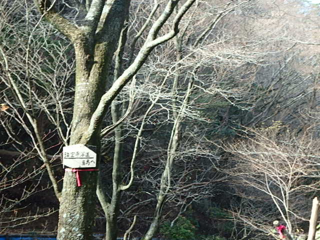 f0334143_98869.jpg
