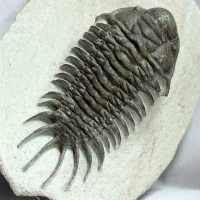 c0109850_10040369.jpg