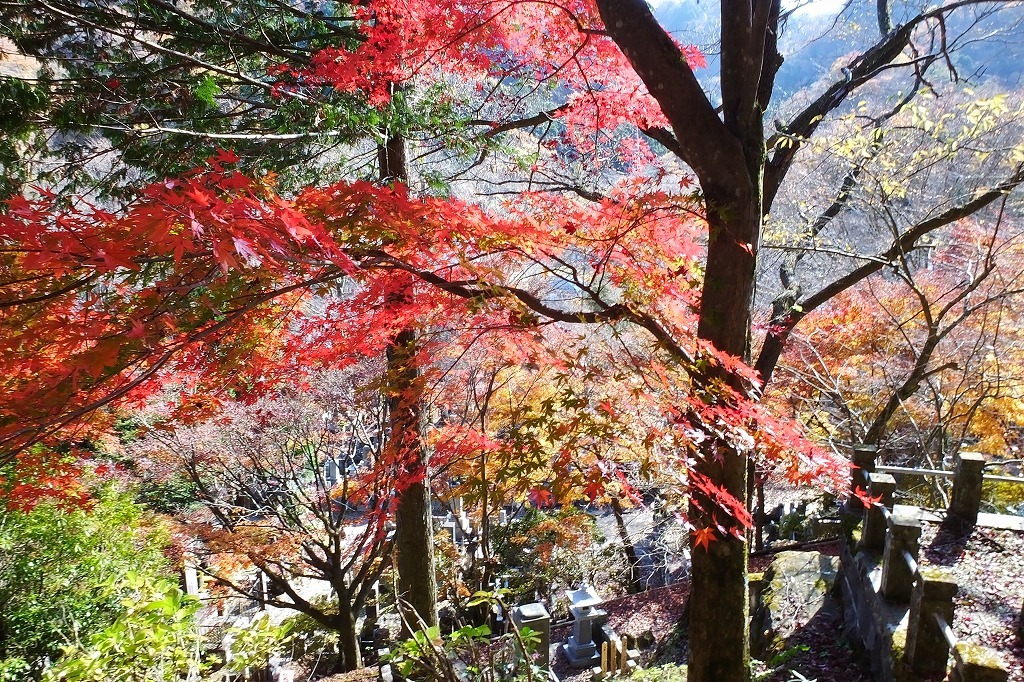b0236251_11213884.jpg
