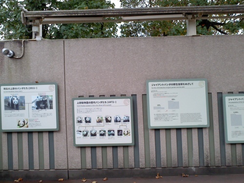 c0017651_14582772.jpg