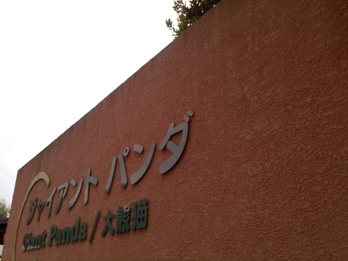 c0017651_15005488.jpg