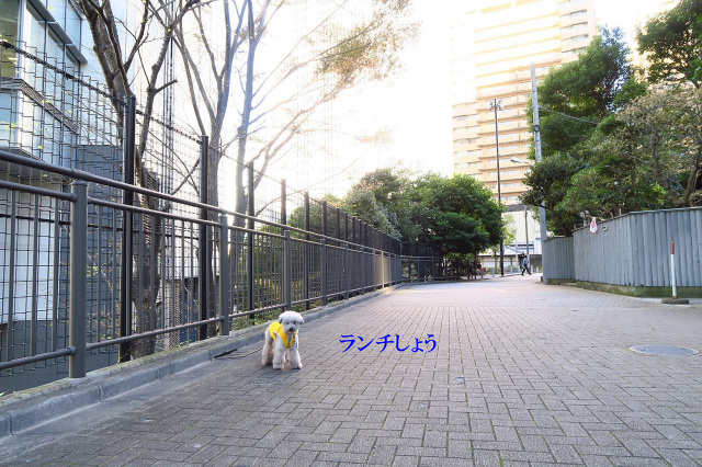 e0129656_22563998.jpg