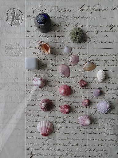 c0172261_10185175.jpg