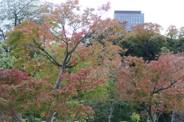 b0405262_20333937.jpg