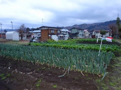 d0074063_07343757.jpg