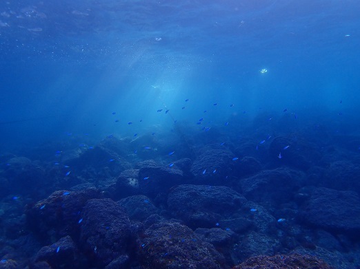 e0132965_10275258.jpg