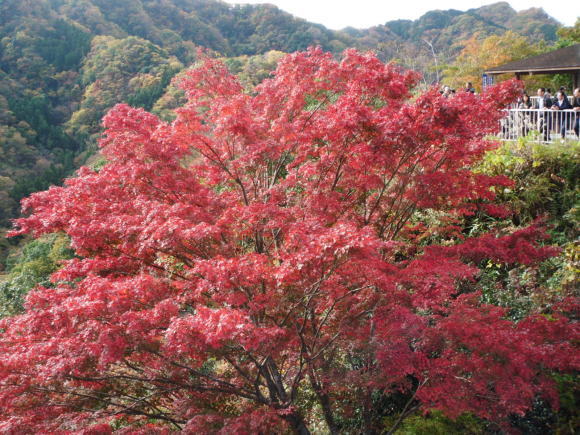 c0325468_20051631.jpg