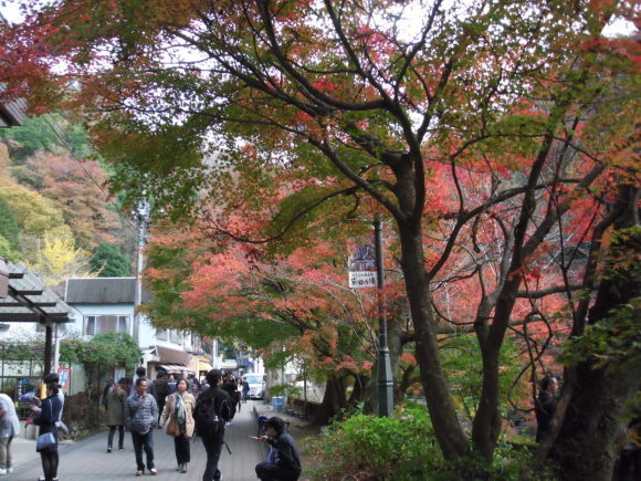 c0325468_20072351.jpg