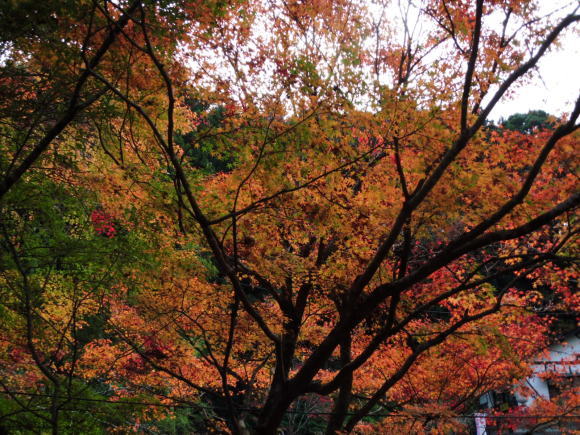 c0325468_20074422.jpg