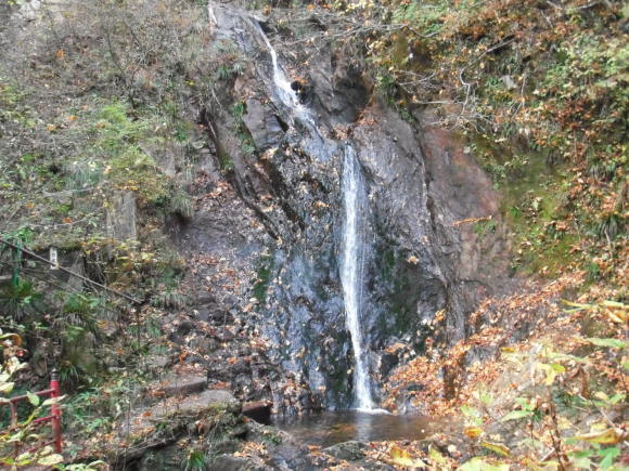 c0325468_20093348.jpg