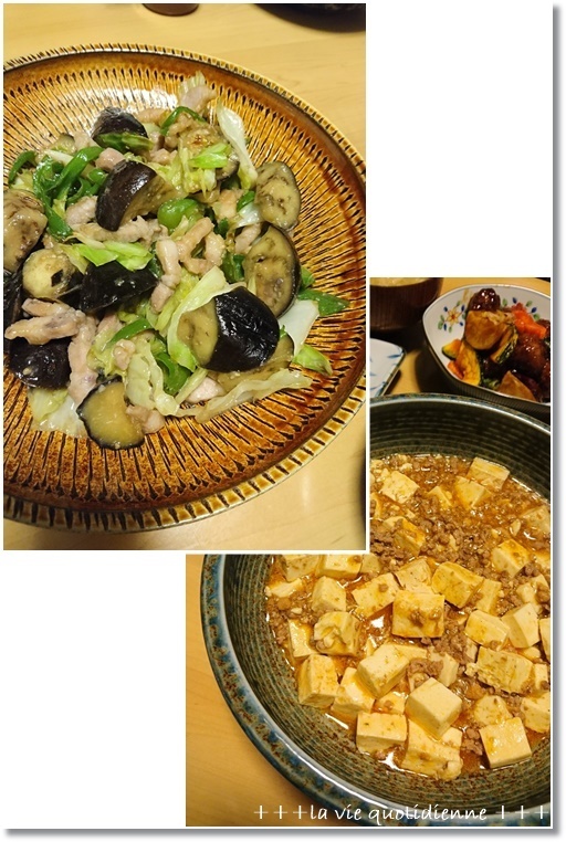 ダンナさん食堂☆先週は中華な気分とトトの子育ての変化!?_a0348473_03085528.jpg